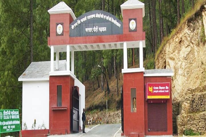campus-view